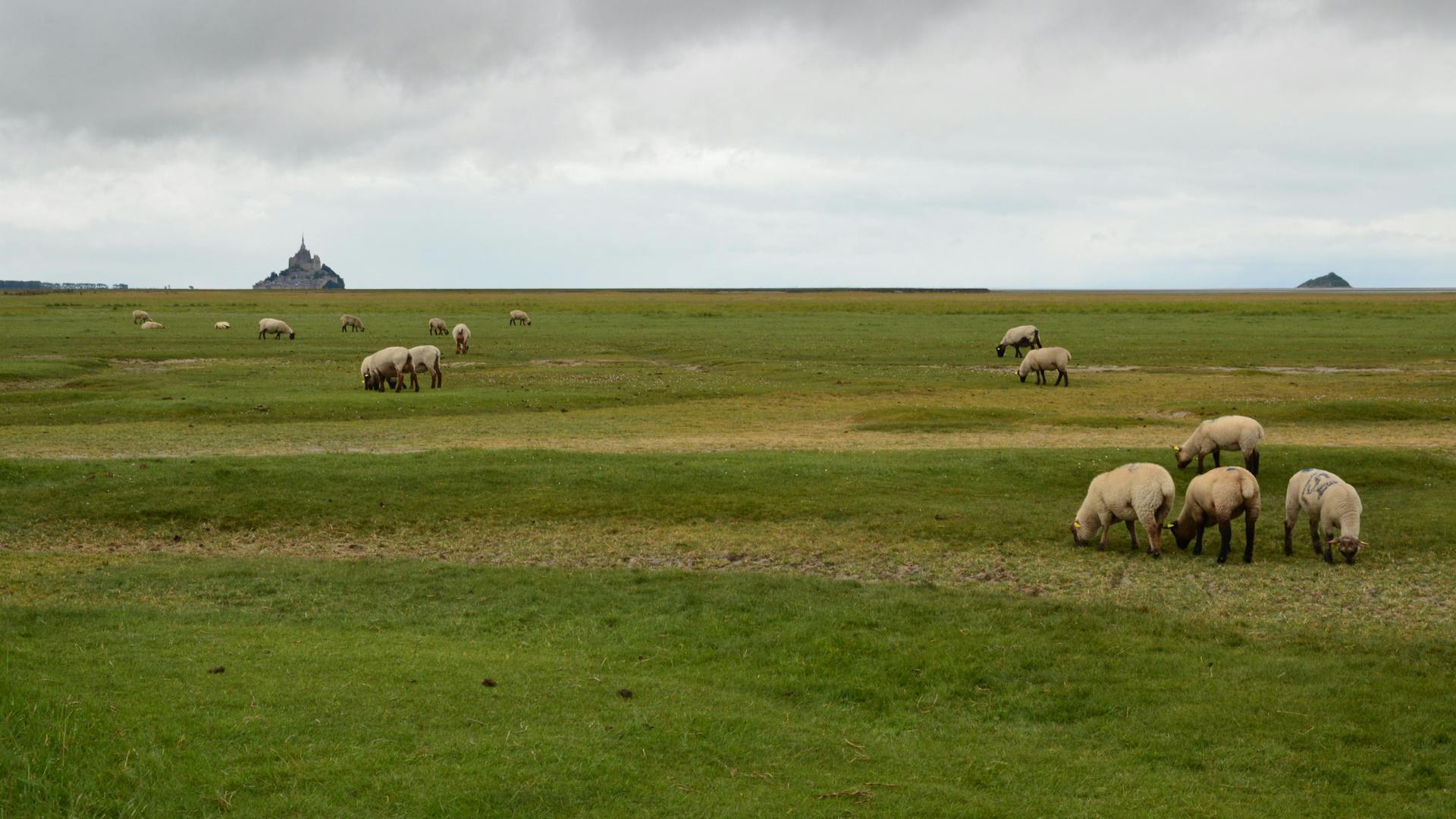 Mont-Saint-Michel